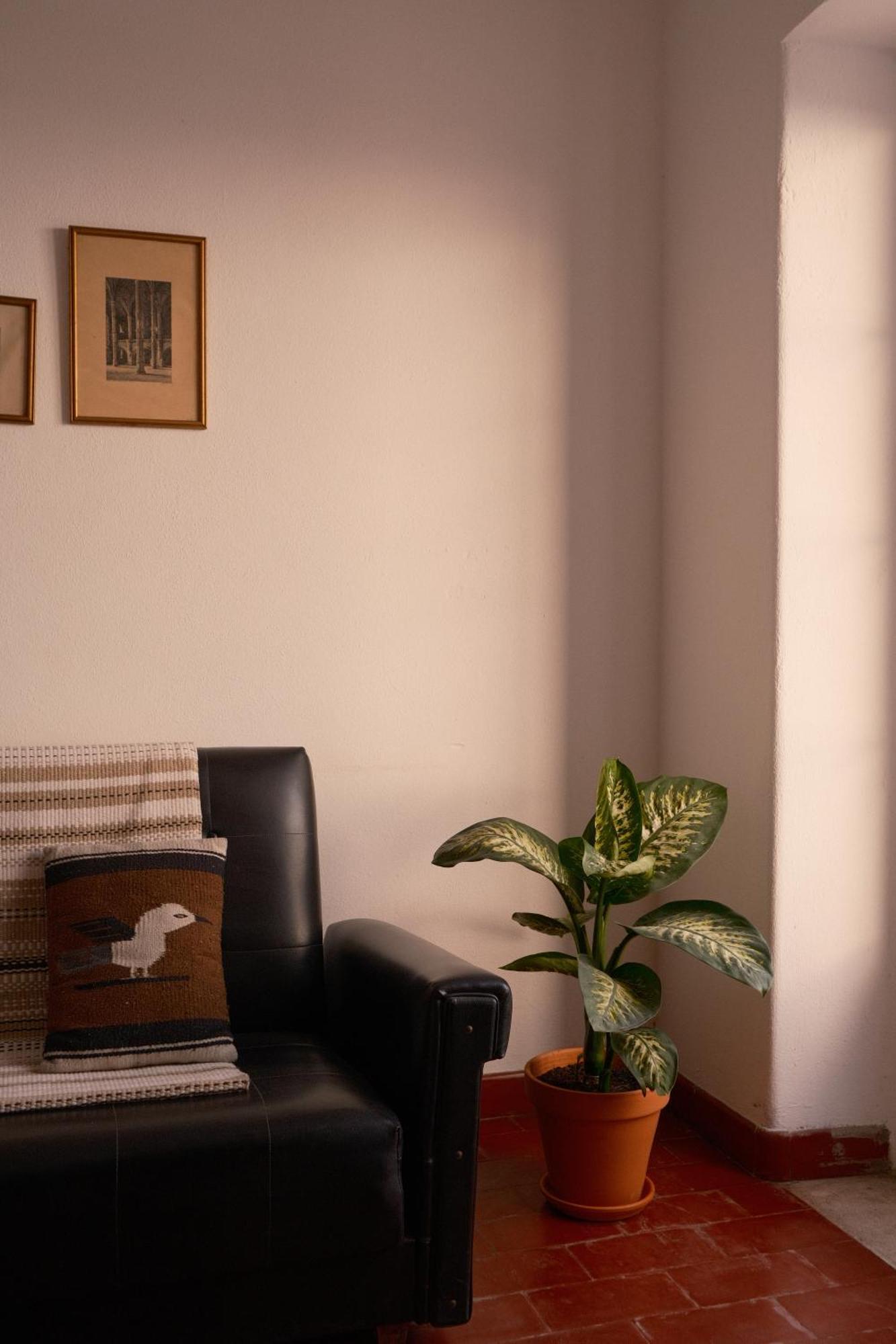 Ferienwohnung Manas Coliving Sines Exterior foto